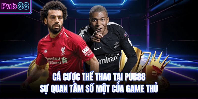 Cá Cược Thể Thao Tại PUB88 - Sự Quan Tâm Số Một Của Game Thủ