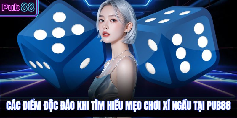 Các điểm độc đáo khi tìm hiểu mẹo chơi xí ngầu tại PUB88
