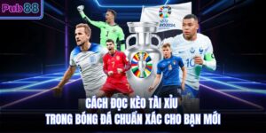 Cách Đọc Kèo Tài Xỉu Trong Bóng Đá Chuẩn Xác Cho Bạn Mới