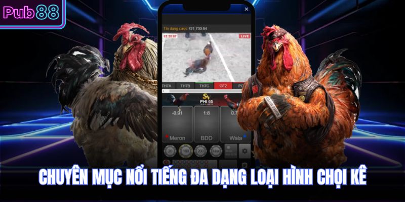 Chuyên mục nổi tiếng đa dạng loại hình chọi kê 