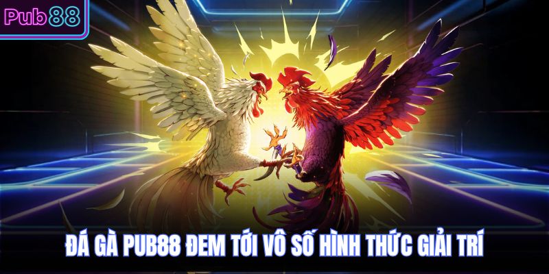 Đá gà PUB88 đem tới vô số hình thức giải trí  