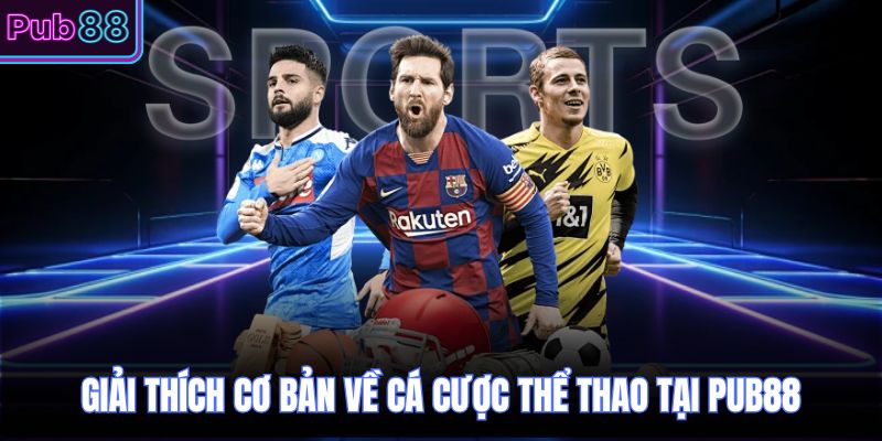 Giải thích cơ bản về cá cược thể thao tại PUB88