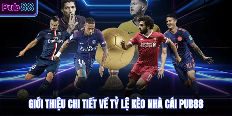 Giới thiệu chi tiết về tỷ lệ kèo nhà cái PUB88