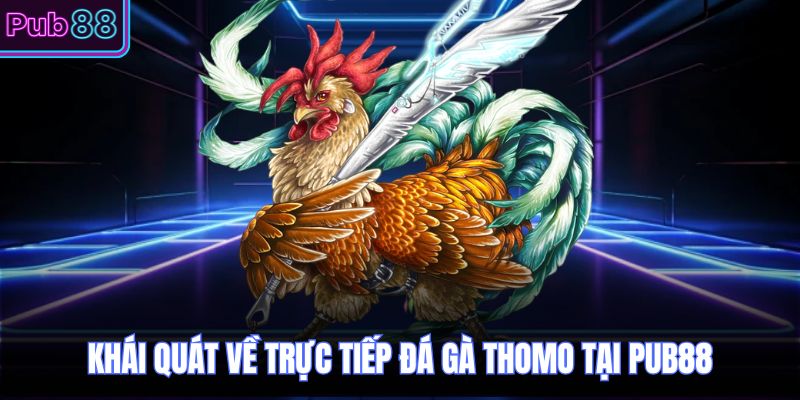 Khái quát về trực tiếp đá gà thomo tại PUB88