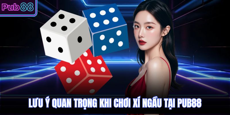 Lưu ý quan trọng khi chơi xí ngầu tại PUB88