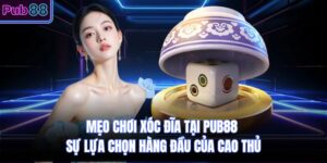 Mẹo Chơi Xóc Đĩa Tại PUB88 Sự Lựa Chọn Hàng Đầu Của Cao Thủ