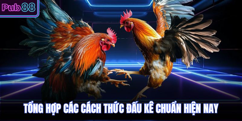Tổng hợp các cách thức đấu kê chuẩn hiện nay