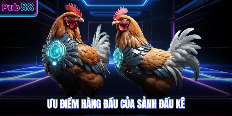 Ưu điểm hàng đầu của sảnh đấu kê